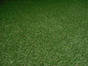 VD4 Green Topper